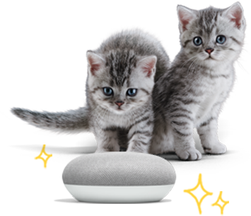 Google Home と子猫の画像
